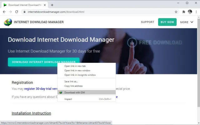 Internet Download Manager (IDM) screenshot