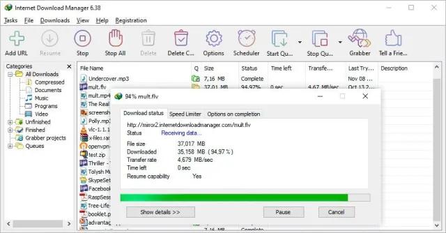 Internet Download Manager (IDM) screenshot