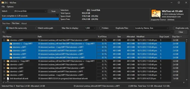 WizTree screenshot